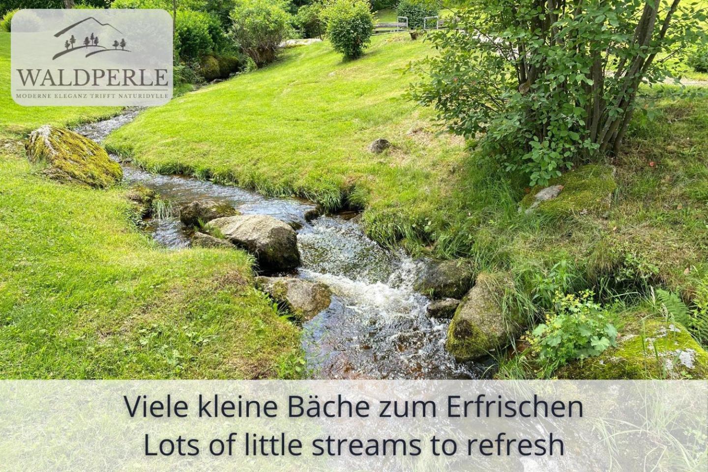 Exklusives 5-Sterne Apartment Waldperle Mit Indoor-Pool, Sauna, Top Lage Und Ausblick In Die Natur, Hunde Willkommen Schonach im Schwarzwald Ngoại thất bức ảnh