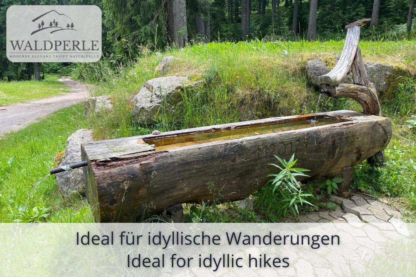 Exklusives 5-Sterne Apartment Waldperle Mit Indoor-Pool, Sauna, Top Lage Und Ausblick In Die Natur, Hunde Willkommen Schonach im Schwarzwald Ngoại thất bức ảnh