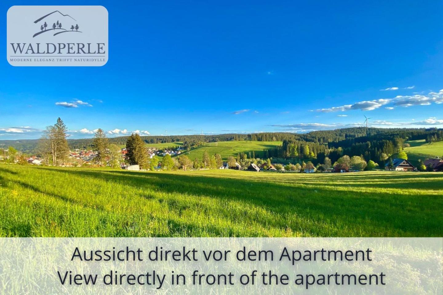 Exklusives 5-Sterne Apartment Waldperle Mit Indoor-Pool, Sauna, Top Lage Und Ausblick In Die Natur, Hunde Willkommen Schonach im Schwarzwald Ngoại thất bức ảnh