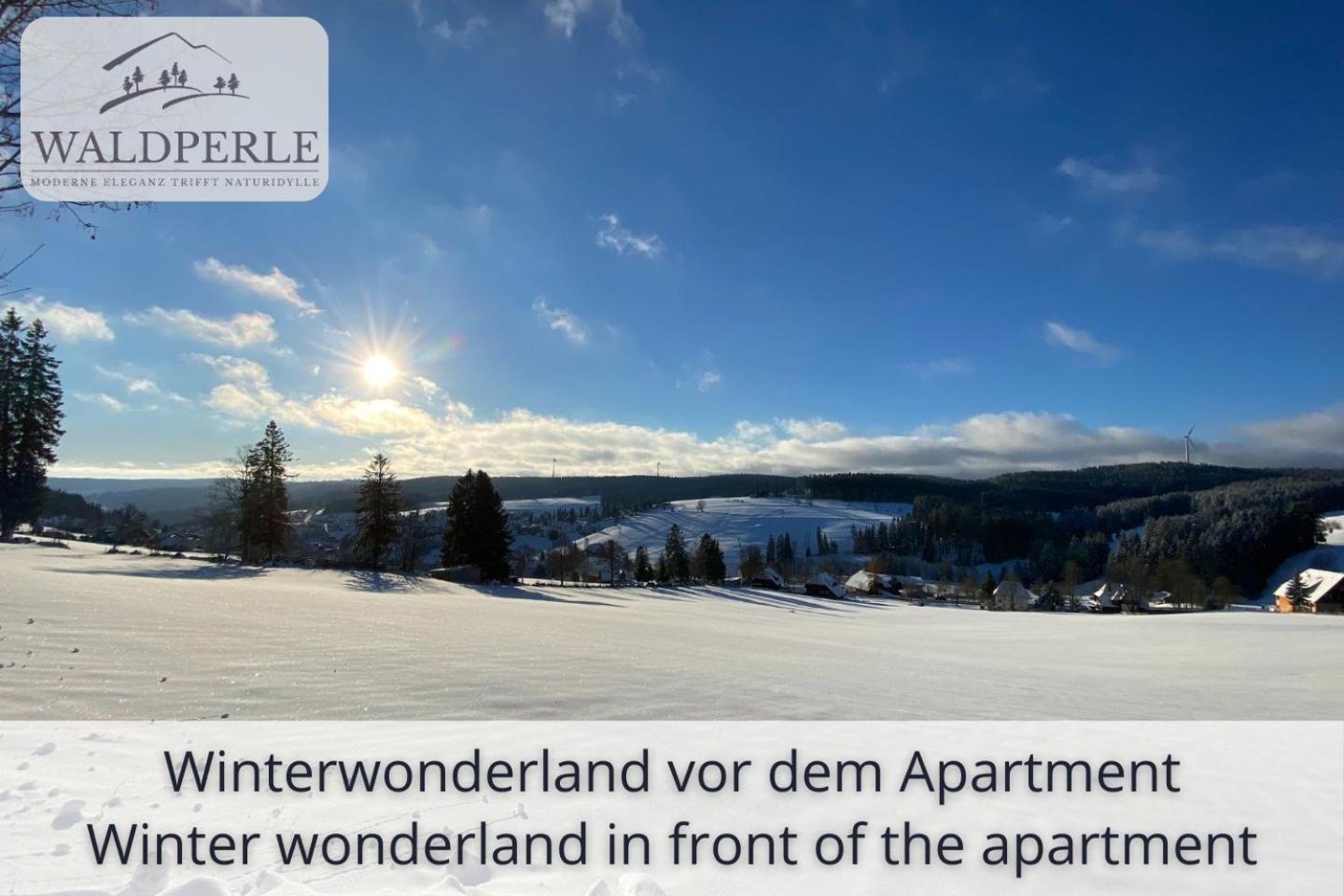 Exklusives 5-Sterne Apartment Waldperle Mit Indoor-Pool, Sauna, Top Lage Und Ausblick In Die Natur, Hunde Willkommen Schonach im Schwarzwald Ngoại thất bức ảnh