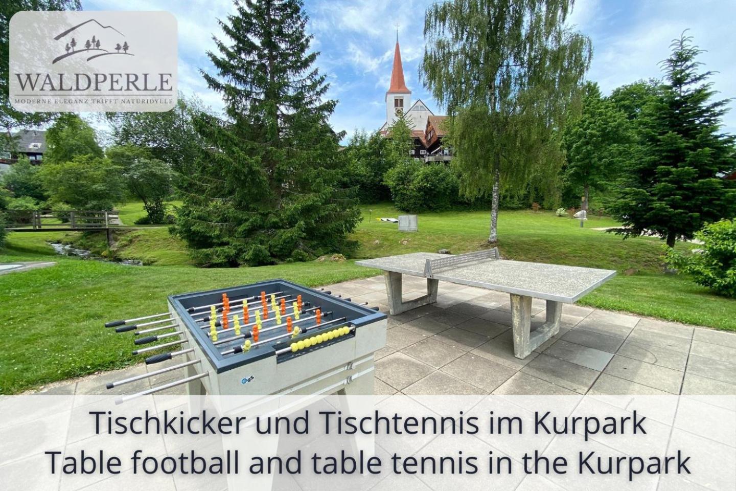 Exklusives 5-Sterne Apartment Waldperle Mit Indoor-Pool, Sauna, Top Lage Und Ausblick In Die Natur, Hunde Willkommen Schonach im Schwarzwald Ngoại thất bức ảnh