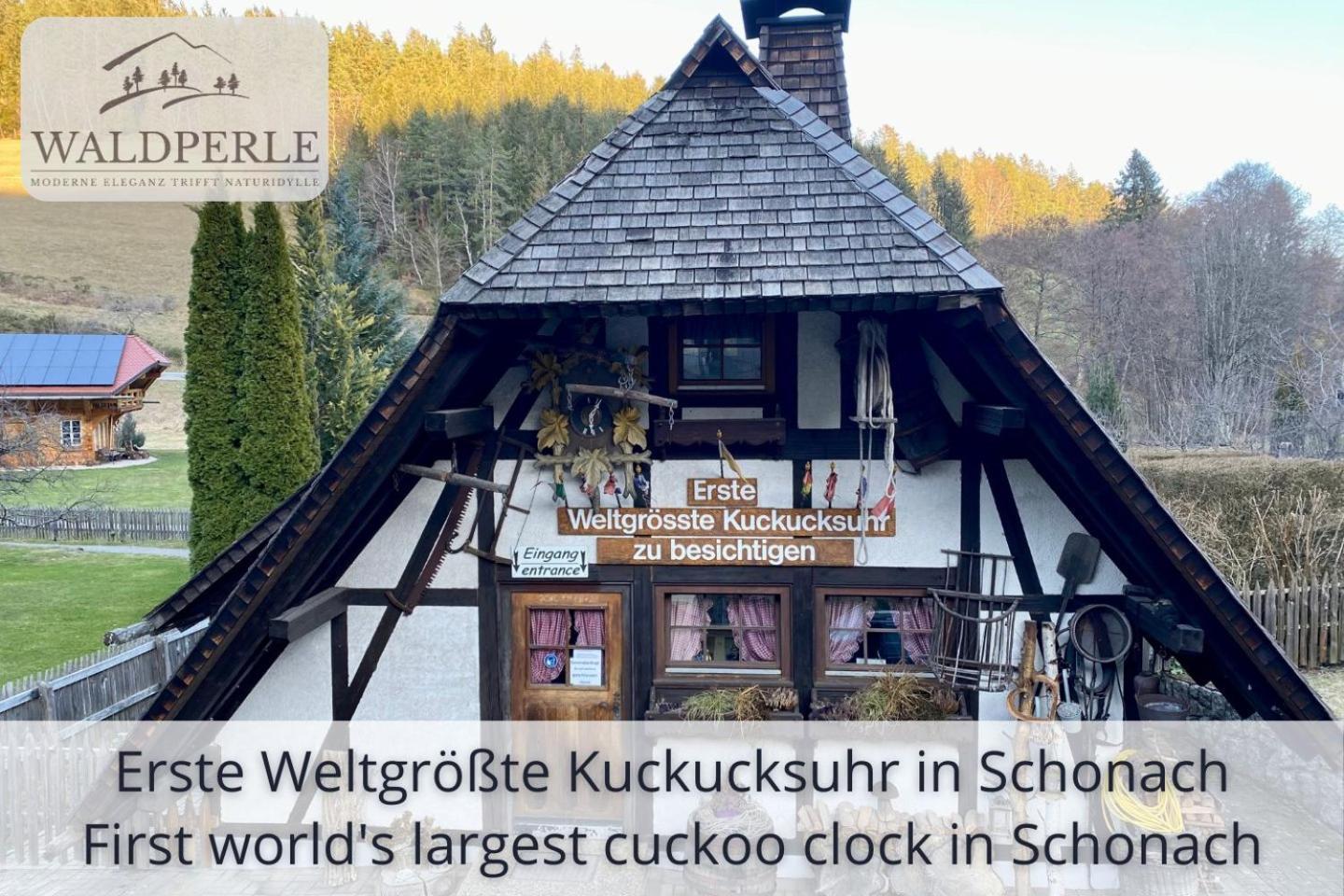 Exklusives 5-Sterne Apartment Waldperle Mit Indoor-Pool, Sauna, Top Lage Und Ausblick In Die Natur, Hunde Willkommen Schonach im Schwarzwald Ngoại thất bức ảnh