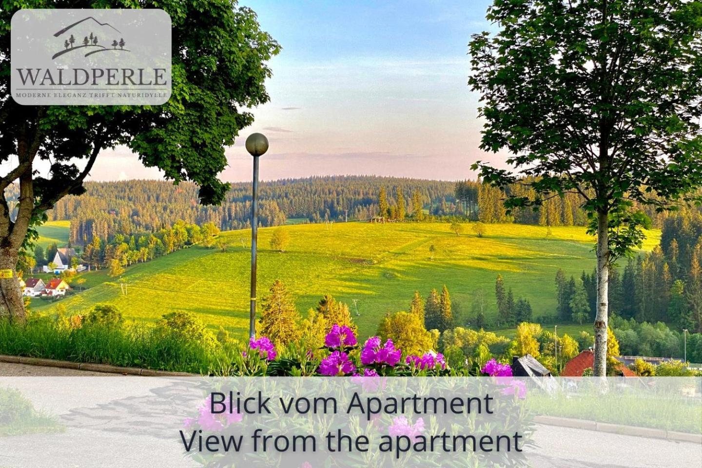 Exklusives 5-Sterne Apartment Waldperle Mit Indoor-Pool, Sauna, Top Lage Und Ausblick In Die Natur, Hunde Willkommen Schonach im Schwarzwald Ngoại thất bức ảnh