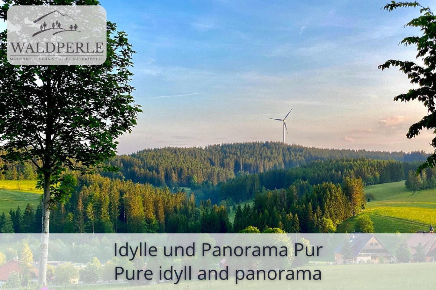 Exklusives 5-Sterne Apartment Waldperle Mit Indoor-Pool, Sauna, Top Lage Und Ausblick In Die Natur, Hunde Willkommen Schonach im Schwarzwald Ngoại thất bức ảnh