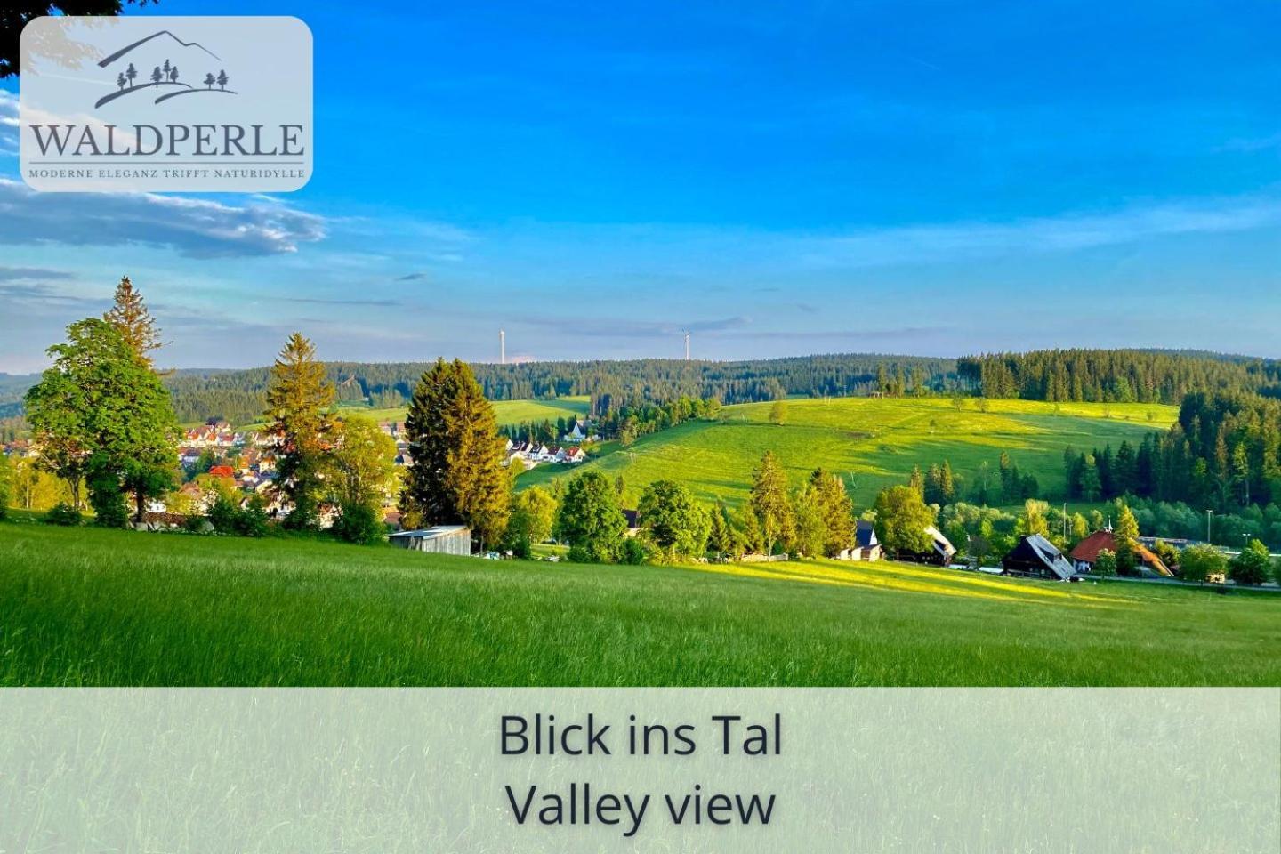 Exklusives 5-Sterne Apartment Waldperle Mit Indoor-Pool, Sauna, Top Lage Und Ausblick In Die Natur, Hunde Willkommen Schonach im Schwarzwald Ngoại thất bức ảnh
