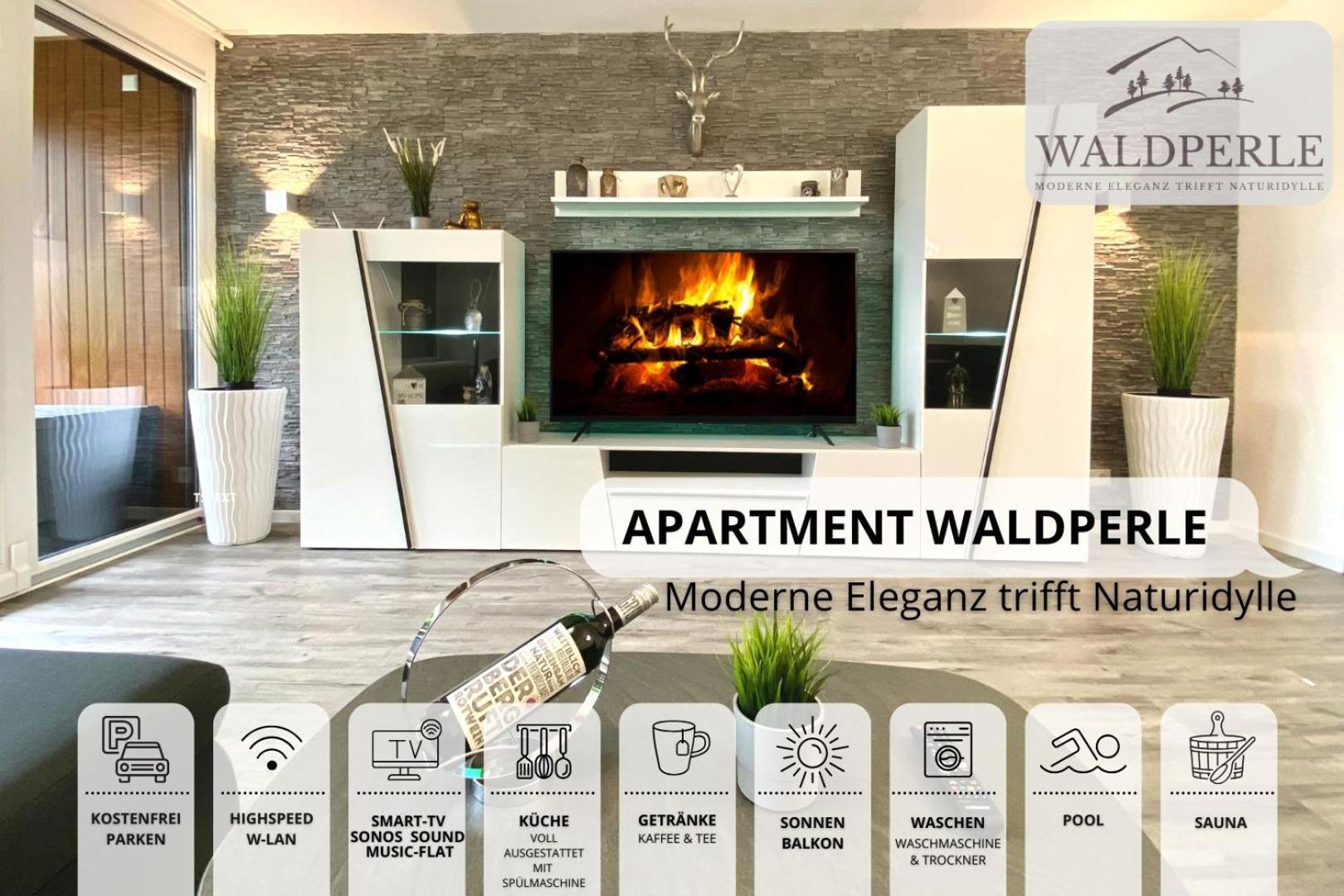 Exklusives 5-Sterne Apartment Waldperle Mit Indoor-Pool, Sauna, Top Lage Und Ausblick In Die Natur, Hunde Willkommen Schonach im Schwarzwald Ngoại thất bức ảnh